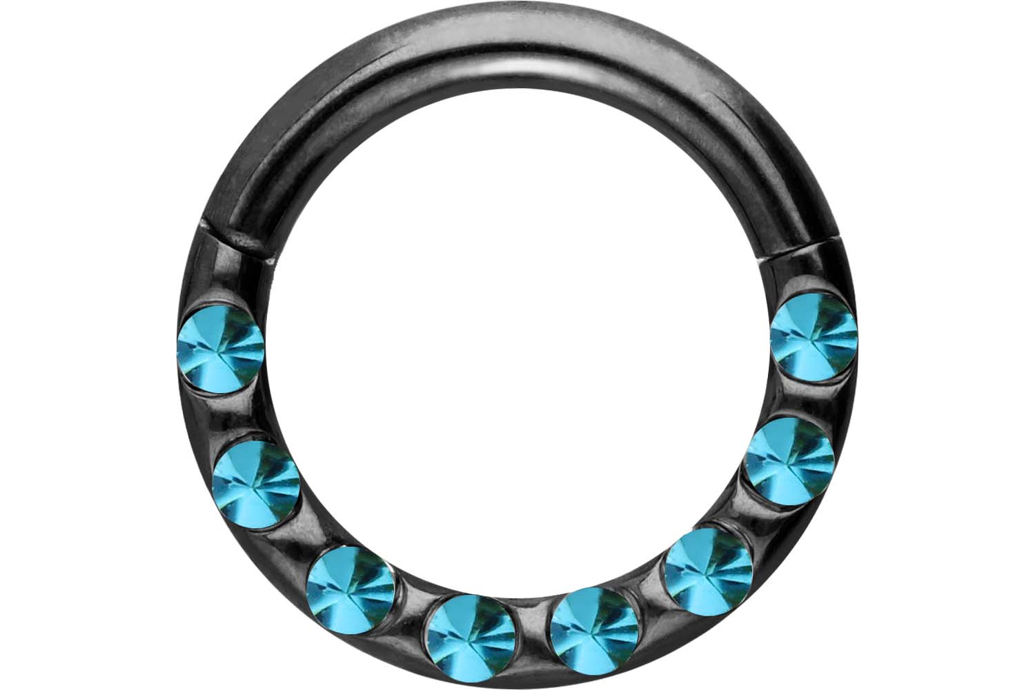 Chirurgenstahl Segmentring Clicker Piercing KRISTALLE + EPOXY ++SALE++